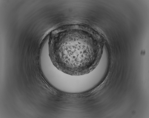 X0000090441210200708031145