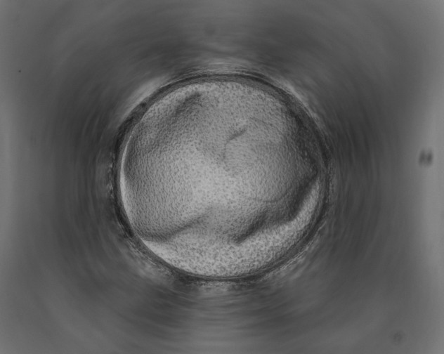 X0000090441211200708031145