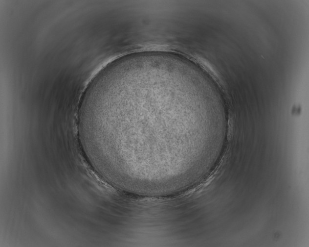 X0000090441212200708031145