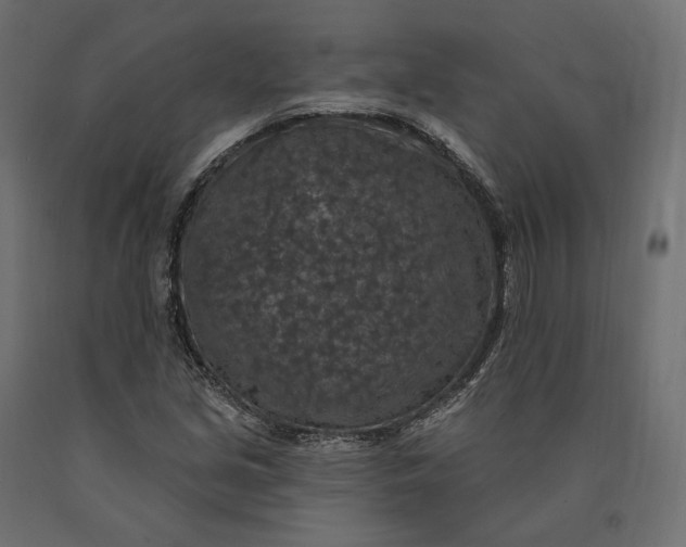 X0000090441213200708031145