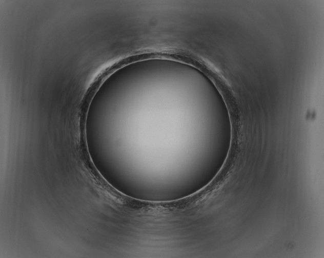 X0000090441214200708031145