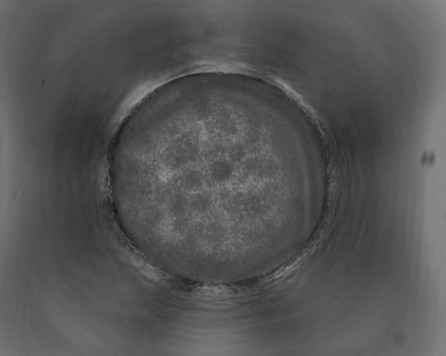 X0000090441215200708031145