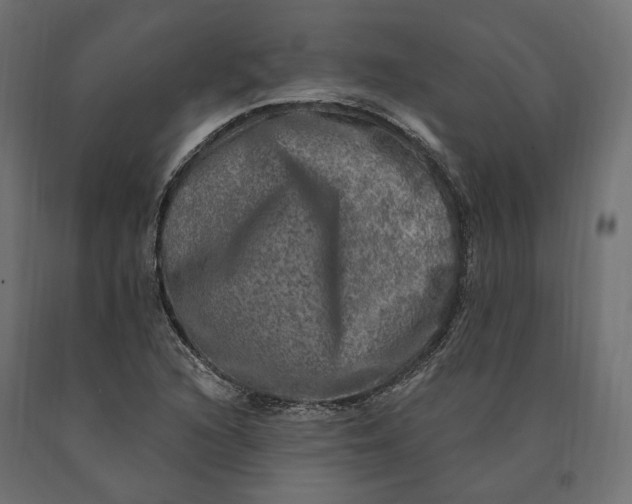 X0000090441216200708031145