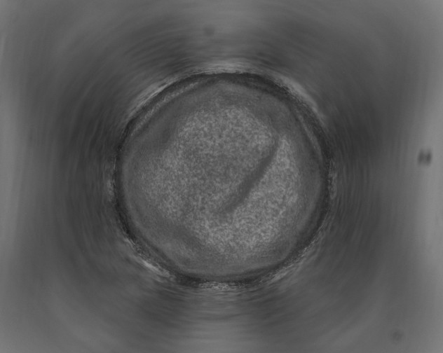 X0000090441217200708031146