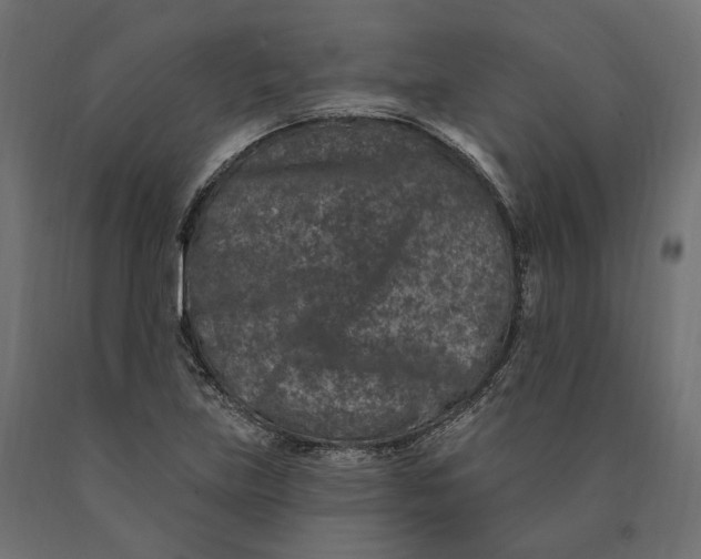 X0000090441219200708031146