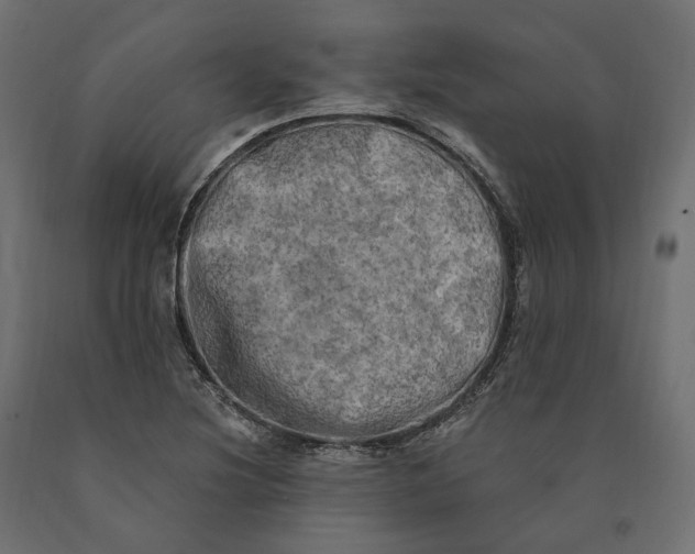 X0000090441220200708031146