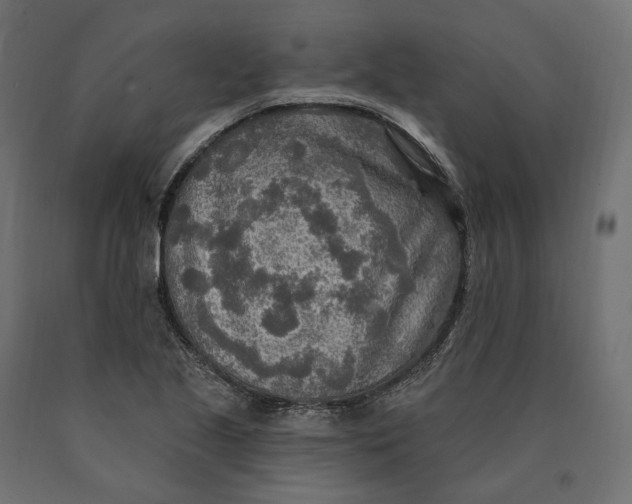 X0000090441221200708031146