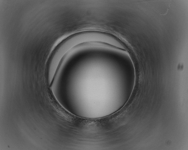 X0000090441222200708031146