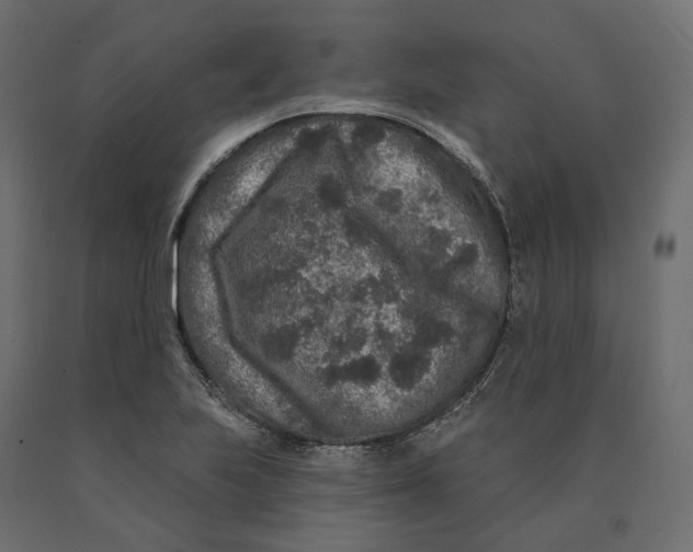 X0000090441223200708031146