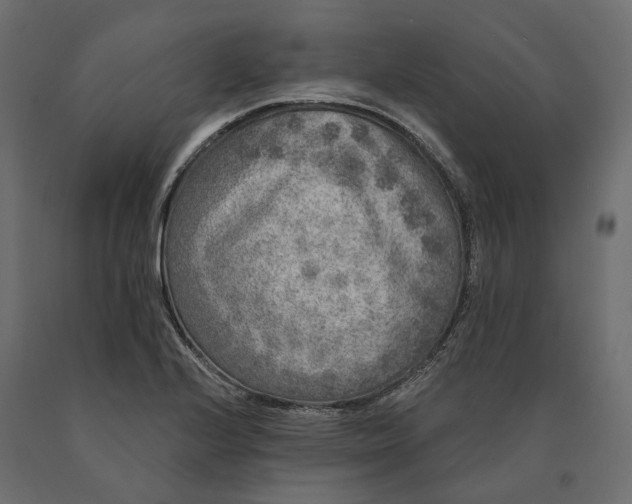 X0000090441224200708031146