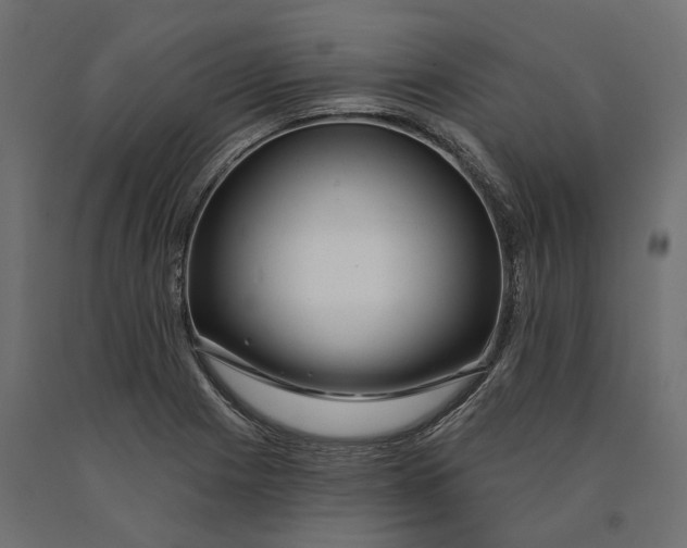 X0000090441225200708031146