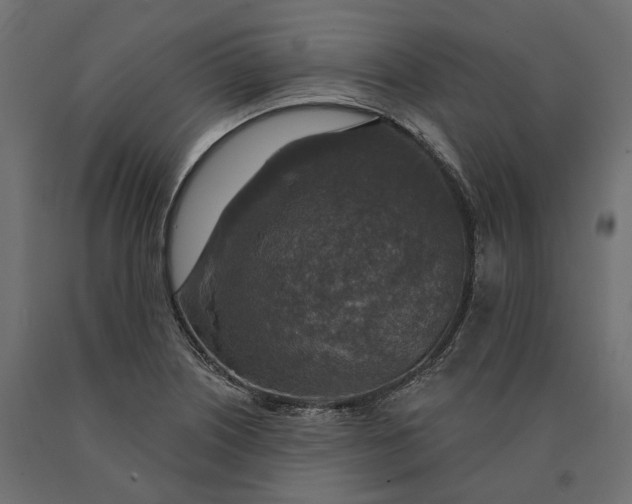 X0000090441226200708031146