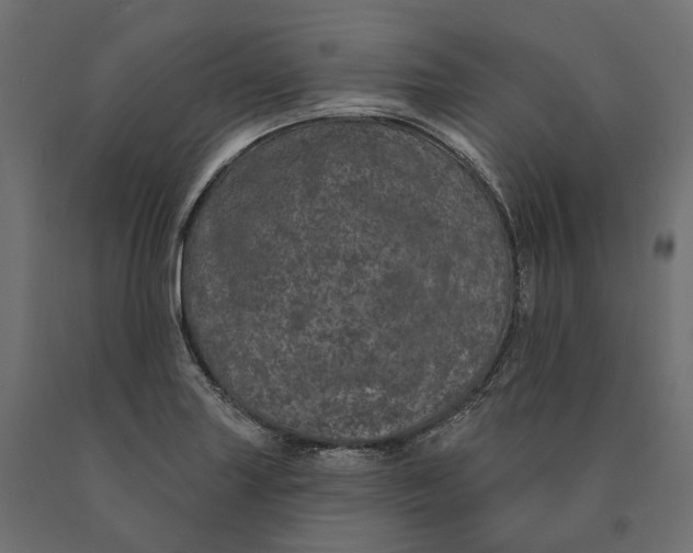 X0000090441227200708031146