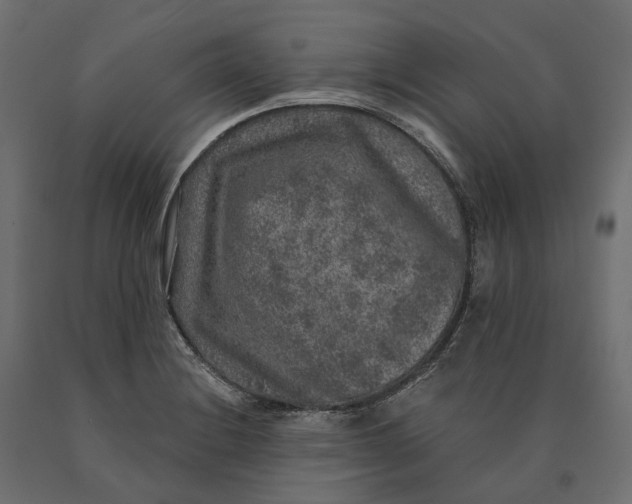 X0000090441228200708031146