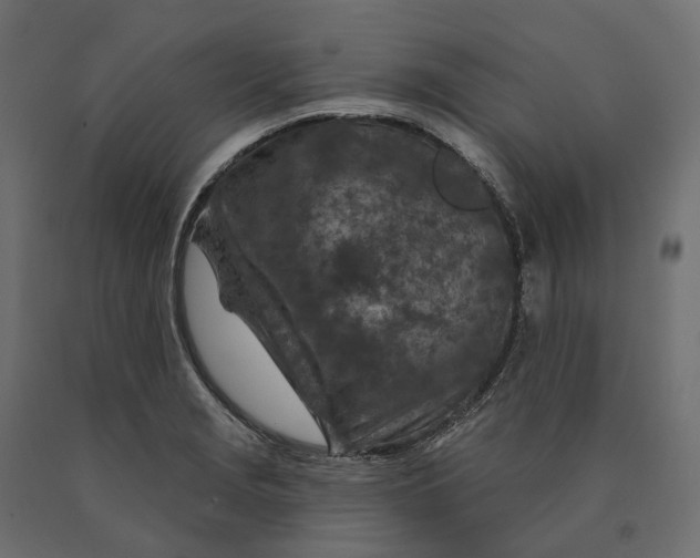 X0000090441229200708031146