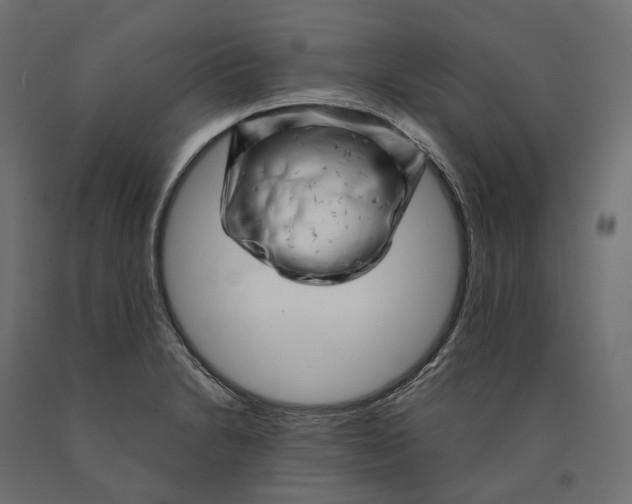 X0000090441230200708031146