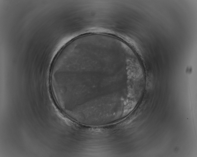 X0000090441231200708031146