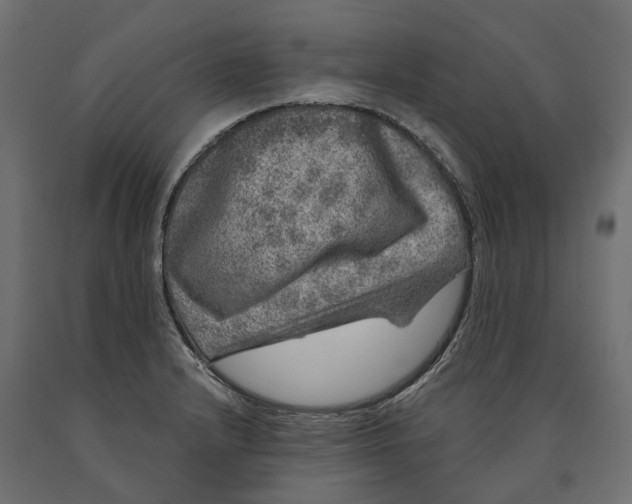 X0000090441232200708031146