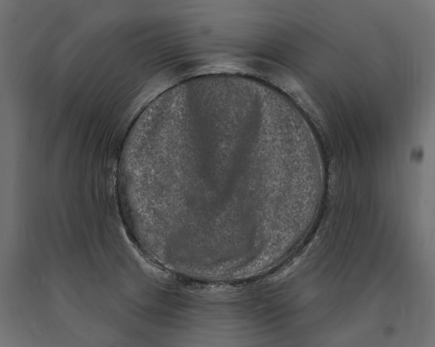 X0000090441233200708031146