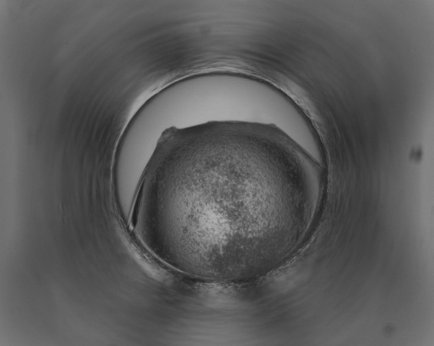 X0000090441234200708031146