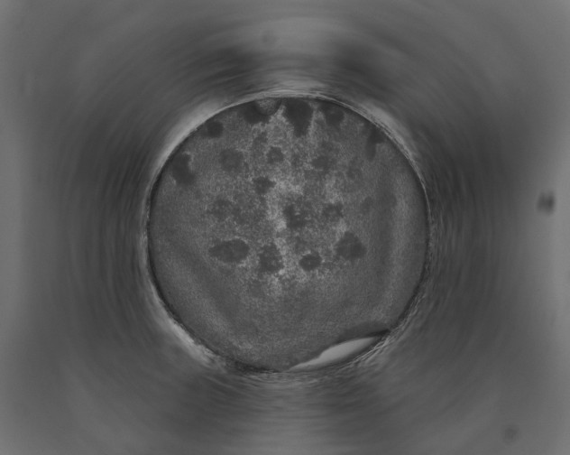 X0000090441235200708031146