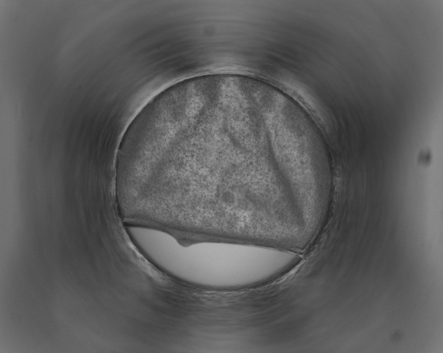 X0000090441236200708031146