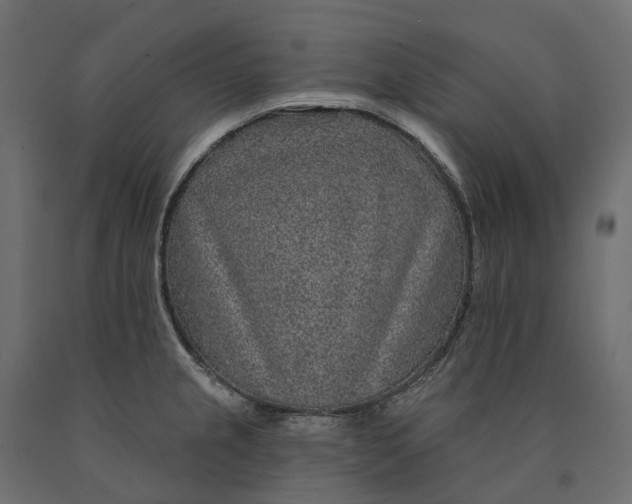 X0000090441237200708031146