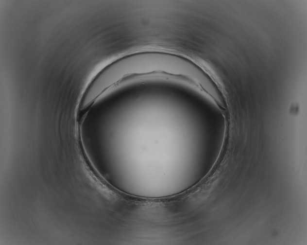 X0000090441238200708031146