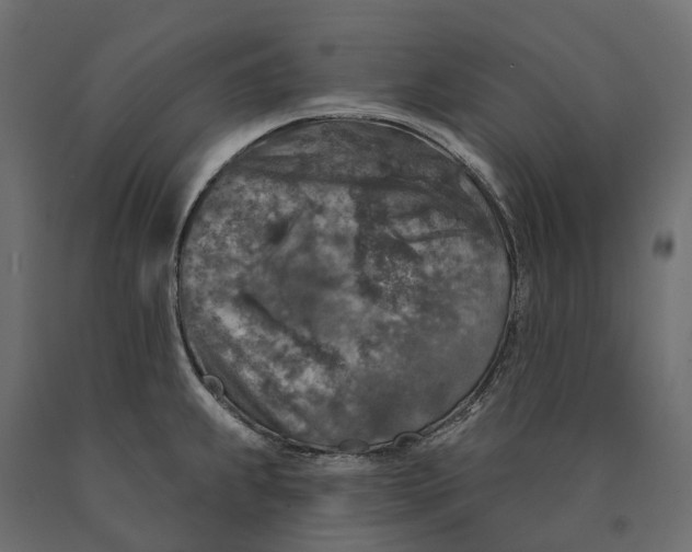 X0000090441239200708031146