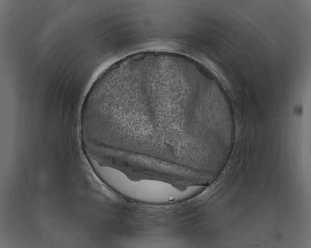 X0000090441240200708031146