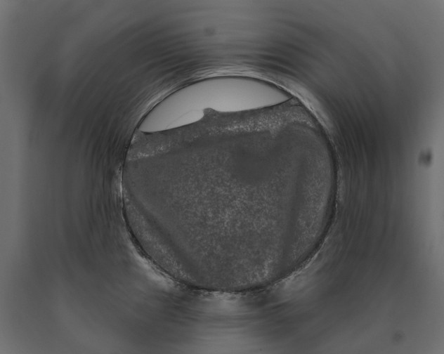 X0000090441241200708031146