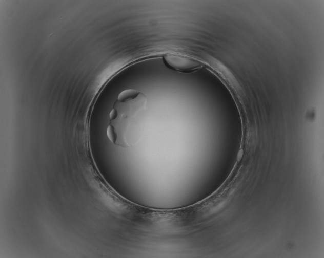 X0000090441242200708031146