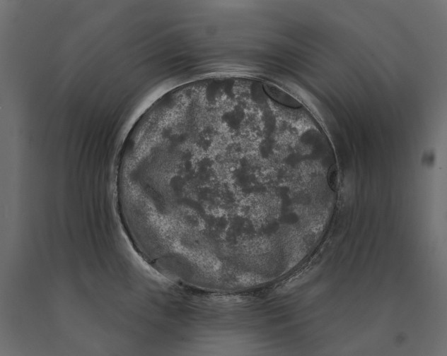 X0000090441243200708031146