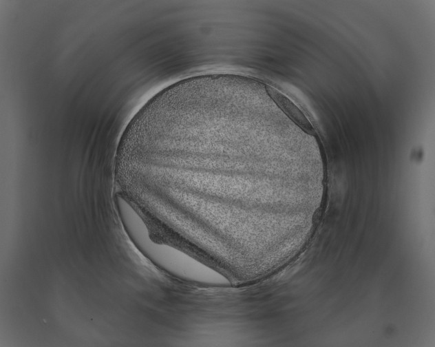 X0000090441244200708031146