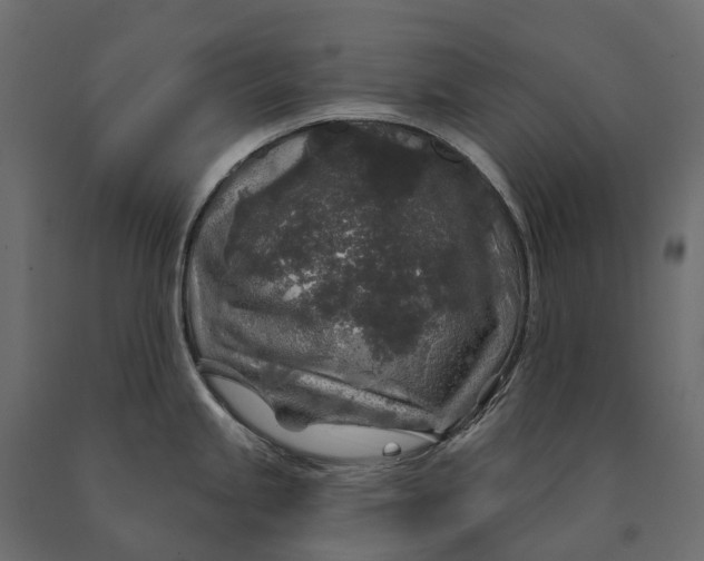 X0000090441245200708031146