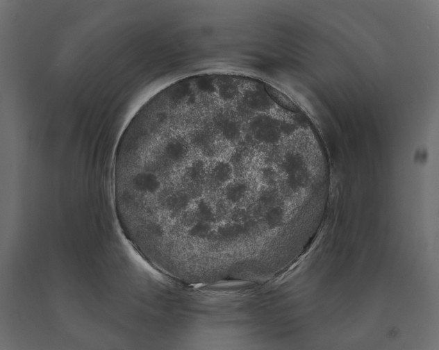 X0000090441247200708031146