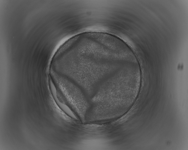 X0000090441248200708031146