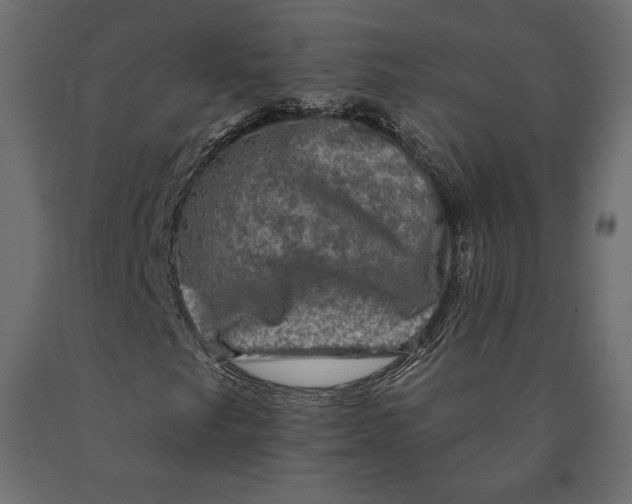 X0000090441249200708031145