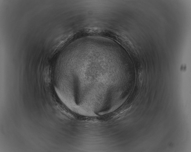 X0000090441250200708031145