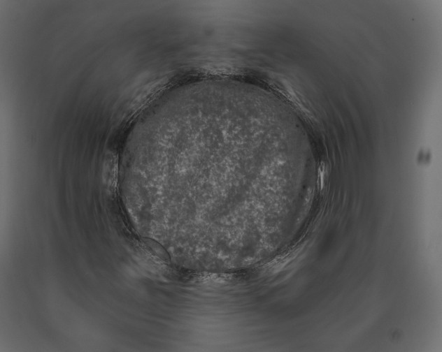 X0000090441251200708031145