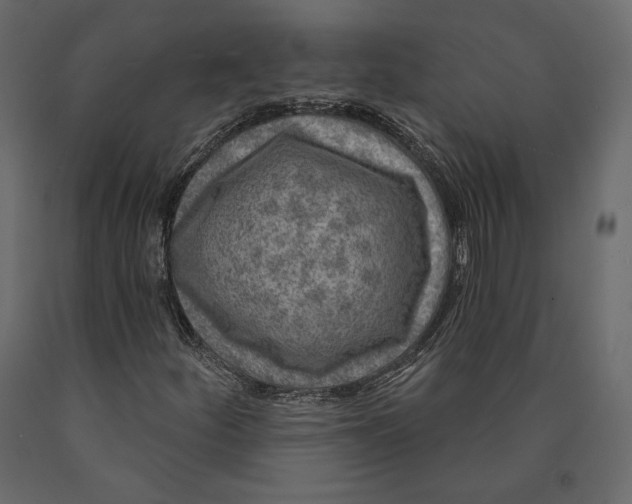 X0000090441252200708031145