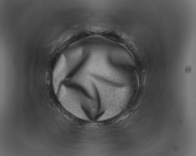 X0000090441253200708031145