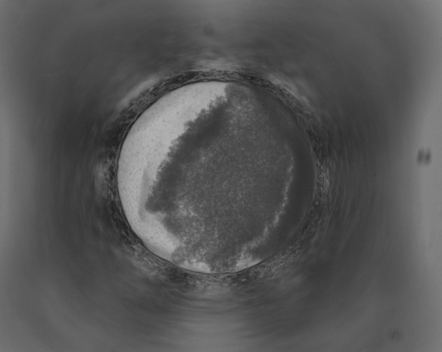 X0000090441254200708031145