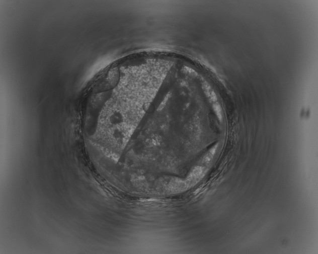 X0000090441255200708031145