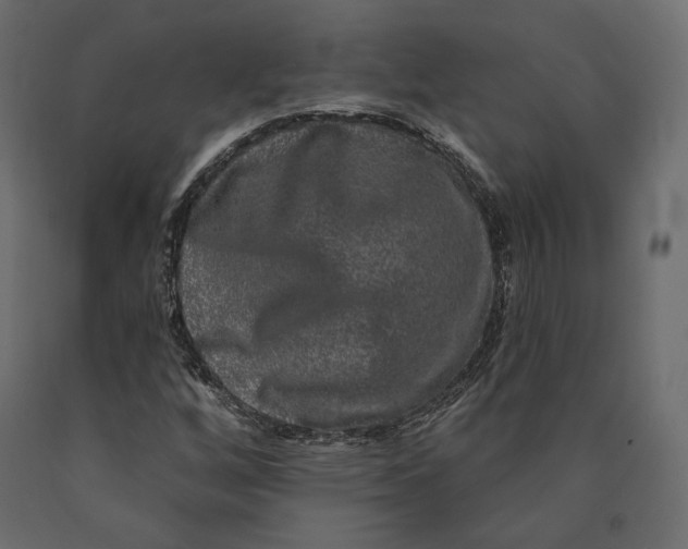 X0000090441256200708031145