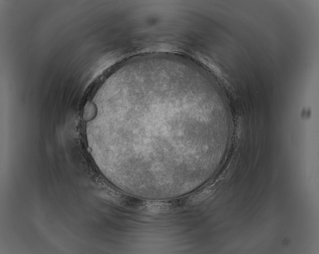 X0000090441258200708031145