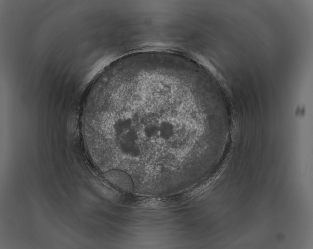 X0000090441259200708031145