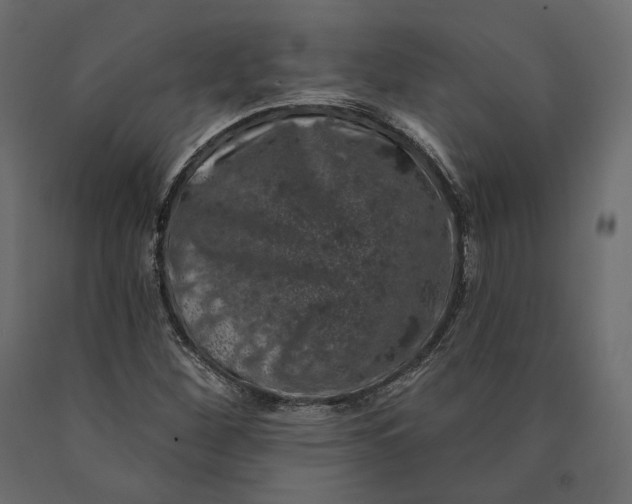 X0000090441260200708031145