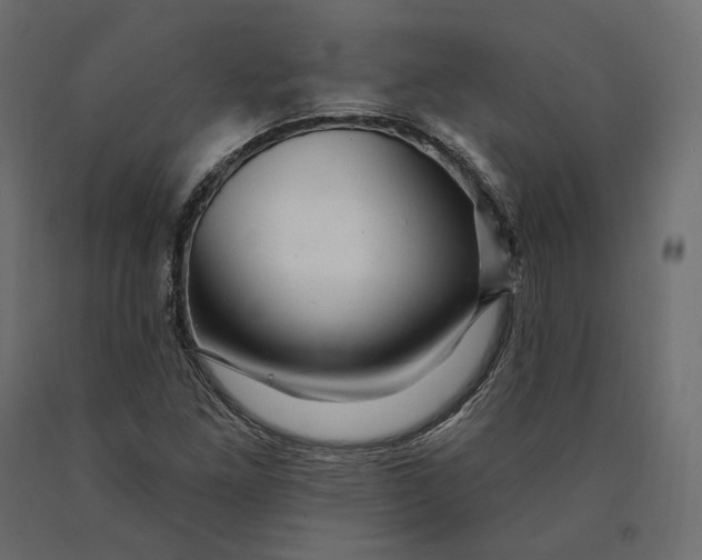 X0000090441261200708031145