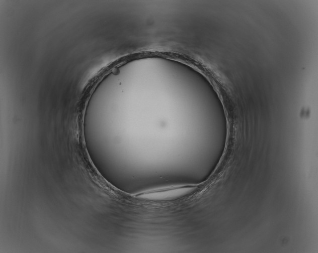 X0000090441262200708031145